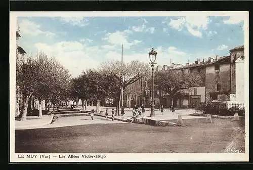 AK Le Muy, Les Allées Victor-Hugo