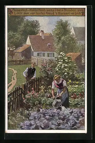 Künstler-AK Paul Hey: Verein für das Deutschtum im Ausland, Nr. 41, Rosestock, Holderblüh