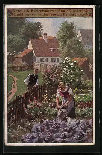 Künstler-AK Paul Hey: Verein für das Deutschtum im Ausland, Nr. 41, Rosestock, Holderblüh