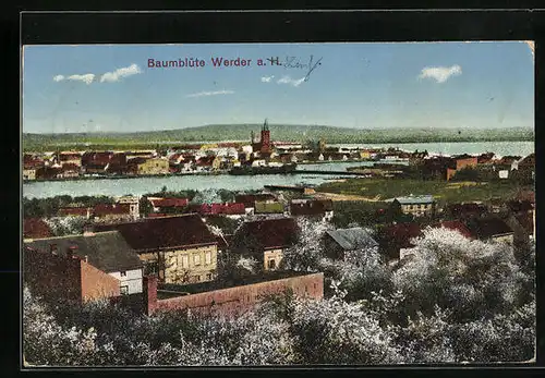 AK Werder a. H., Teilansicht mit Baumblüte