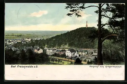 AK Bad Freienwalde a. O., Fernsicht zum Kriegerdenkmal