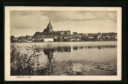 AK Mölln i. Lbg., Ortsansicht vom Wasser aus, Kirche