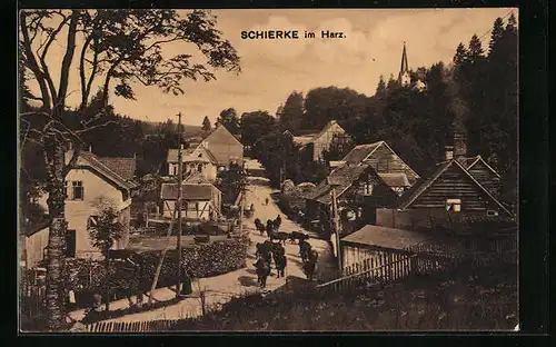 AK Schierke /Harz, Strassenpartie mit Fachwerk, Kühe