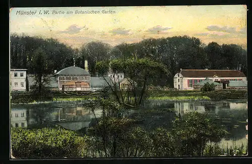 AK Münster i. W., Partie am Botanischen Garten