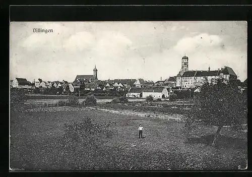 AK Dillingen, Ortsansicht vom Felde aus