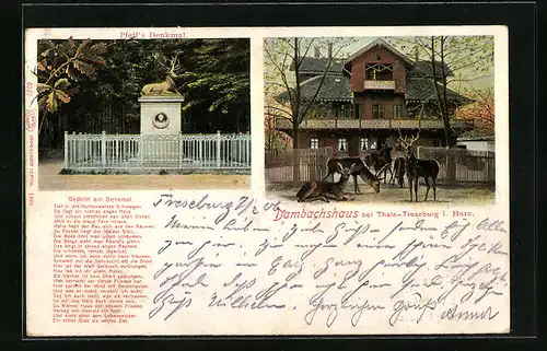 AK Thale-Treseburg i. Harz, Dambachshaus mit Hirschen, Pfeil`s Denkmal