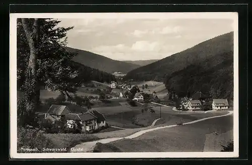 AK Herrenalb /Schwarzwald, Gaistal