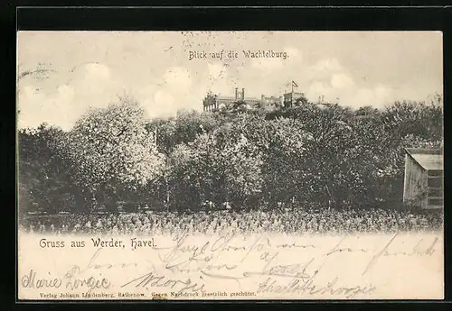 AK Werder /Havel, Blick auf die Wachtelburg