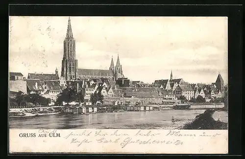AK Ulm a. D., Donaupartie mit Münster