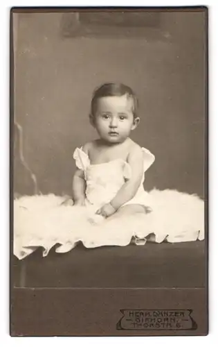Fotografie Herm. Dänzer, Gifhorn, Thorstrasse 6, Sitzendes Kleinkind auf einem Fell