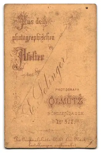 Fotografie E. Selinger, Olmütz, Böhmengasse 517, Charmanter Herr im Anzug mit Walross