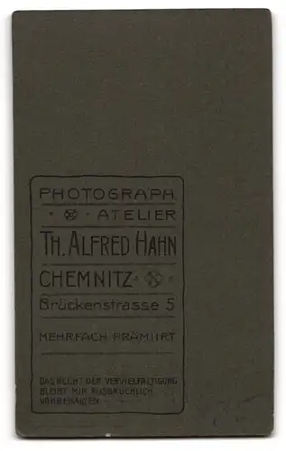 Fotografie Th. Alfred Hahn, Chemnitz, Brückenstr. 5, Bürgerliche Dame in hübscher Bluse