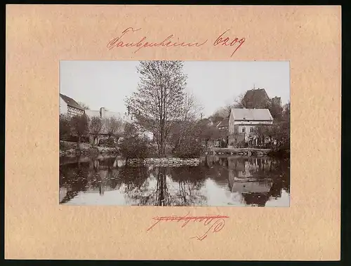 Fotografie Brück & Sohn Meissen, Ansicht Taubenheim (Klipphausen), Blick über den Teich auf den Ort