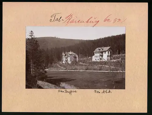 Fotografie Brück & Sohn Meissen, Ansicht Talbärenburg, Blicka uf die Villa Bergfried und die Villa M. C. M.