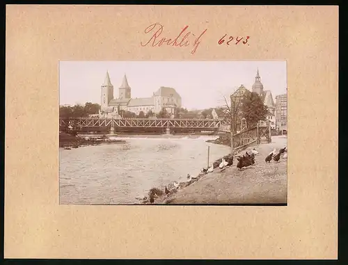 Fotografie Brück & Sohn Meissen, Ansicht Rochlitz, Blick auf die Brücke mit Burg und Kirche, Hühner am Ufer