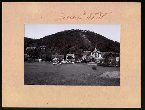 Fotografie Brück & Sohn Meissen, Ansicht Zittau, Blick auf den Schuppenberg mit Villen