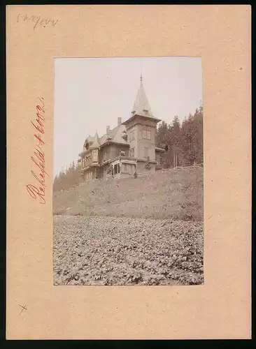 Fotografie Brück & Sohn Meissen, Ansicht Rehefeld i. Erzg., Blick auf das Jagdschloss