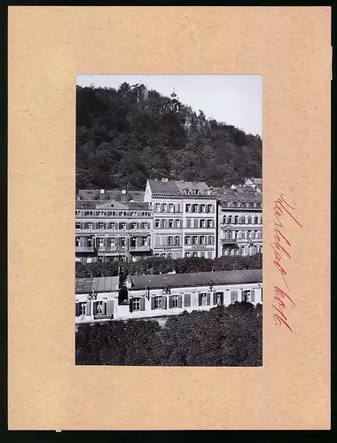 Fotografie Brück & Sohn Meissen, Ansicht Karlsbad, Alte Wiese mit Hotels Guter Hirt, Madrid, Steinernes Haus, Elefant
