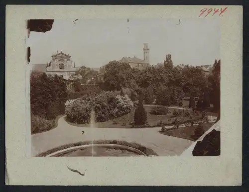 Fotografie Brück & Sohn Meissen, Ansicht Klösterle a. d. Eger, Blick vom Schlosspark auf das Rathaus und Stadtkirche