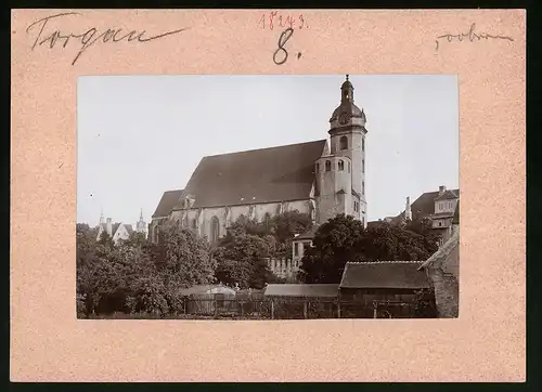 Fotografie Brück & Sohn Meissen, Ansicht Torgau, Stadtkirche