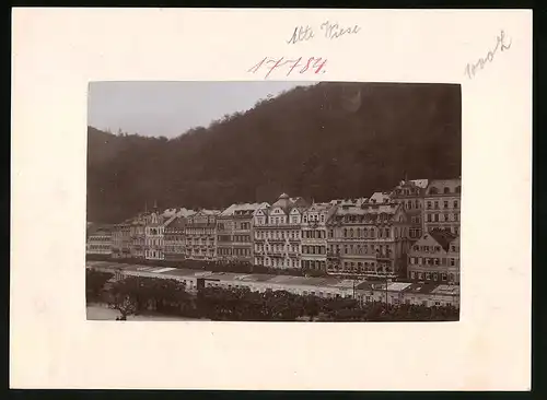 Fotografie Brück & Sohn Meissen, Ansicht Karlsbad, Alte Wiese mit Wohnhäusern