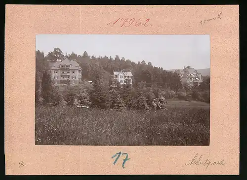 Fotografie Brück & Sohn Meissen, Ansicht Bad Elster, Albertpark mit Villen