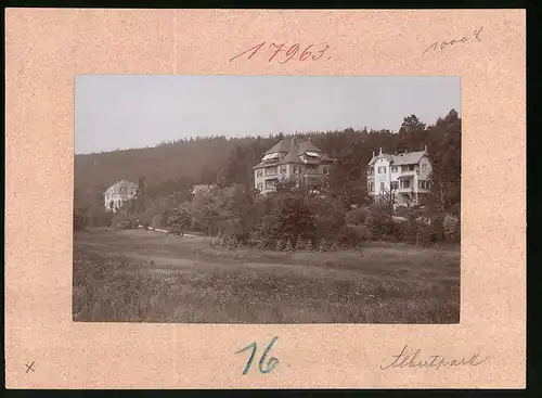 Fotografie Brück & Sohn Meissen, Ansicht Bad Elster, Villa Hubertus am Albertpark