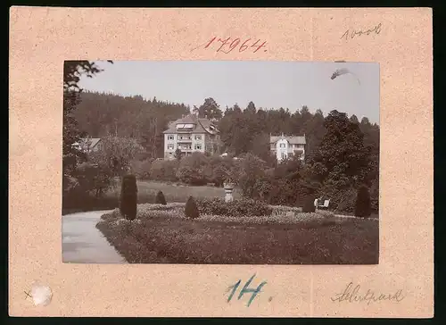 Fotografie Brück & Sohn Meissen, Ansicht Bad Elster, Albertpark mit Villa Hubertus
