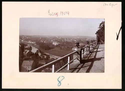 Fotografie Brück & Sohn Meissen, Ansicht Colditz, Stadt von der Ruine aus gesehen