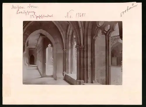 Fotografie Brück & Sohn Meissen, Ansicht Meissen i. Sa., Kreuzgang im Dom