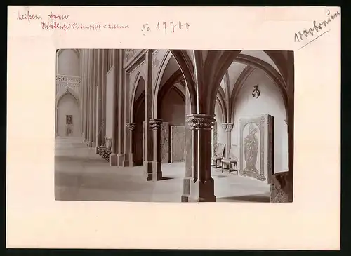 Fotografie Brück & Sohn Meissen, Ansicht Meissen i. Sa., Nördliches Seitenschiff im Dom