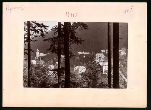 Fotografie Brück & Sohn Meissen, Ansicht Kipsdorf, Ortsansicht vom Waldrand gesehen