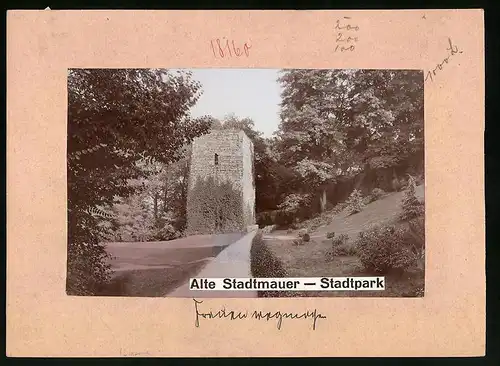 Fotografie Brück & Sohn Meissen, Ansicht Riesa a. Elbe, Partie im Stadtpark an der alten Stadtmauer