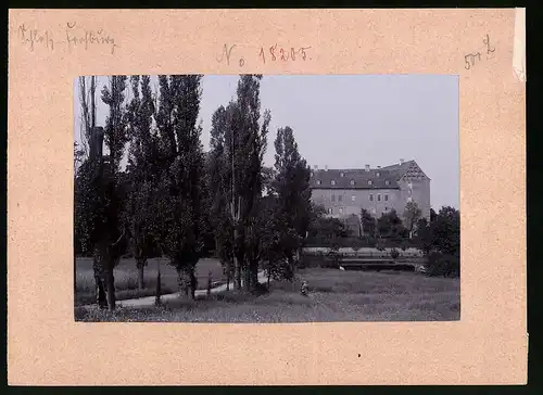 Fotografie Brück & Sohn Meissen, Ansicht Frohburg i. Sa., Allee mit Blick zum Schloss