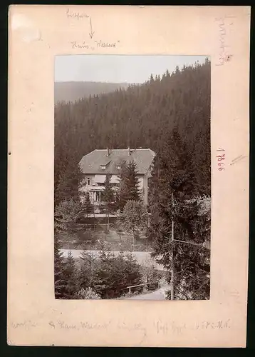 Fotografie Brück & Sohn Meissen, Ansicht Bärenburg i. Sa., Blick auf das Haus Waldeck, Rückseite mit Ansichtskarte