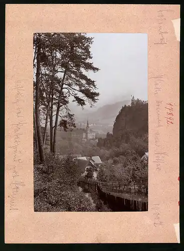 Fotografie Brück & Sohn Meissen, Ansicht Tetschen a. Elbe, Blick nach Schloss Tetschen und Schäferwand