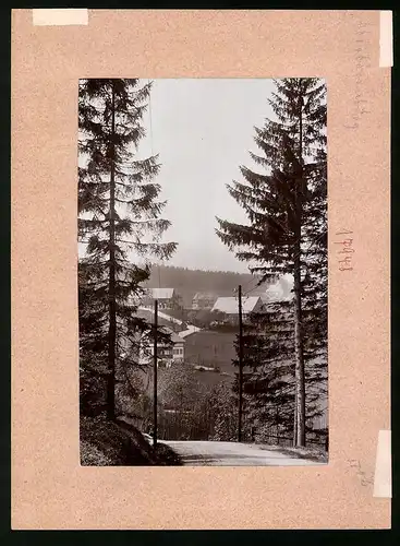 Fotografie Brück & Sohn Meissen, Ansicht Oberbärenburg, Blick von der Waldidyll auf den Ort