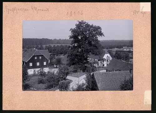Fotografie Brück & Sohn Meissen, Ansicht Spechtshausen, Blick in den Ort mit Gutshöfen