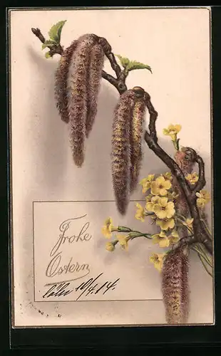 Künstler-AK Frohe Ostern, Weidenkätzchen mit Blüten