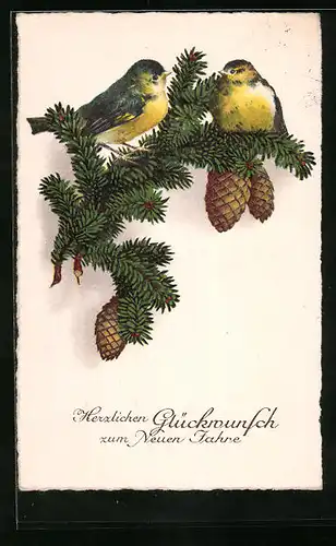 Künstler-AK Glückwünsche zum Neujahr, Vögel auf Tannenzweigen