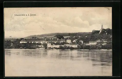 AK Säusenstein a. d. Donau, Totalansicht mit Flusspartie