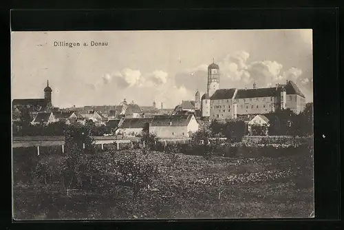AK Dillingen a. D., Ortsansicht mit dem Schloss