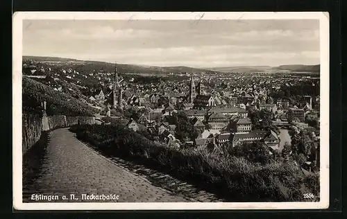AK Esslingen a. N., Blick auf Neckarhalde
