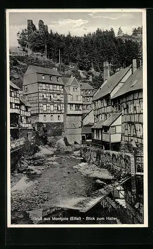 AK Montjoie /Eifel, Blick zum Haller