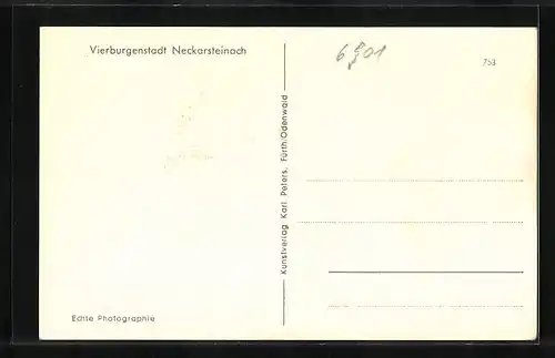 AK Neckarsteinach, Teilansicht der Vierburgenstadt