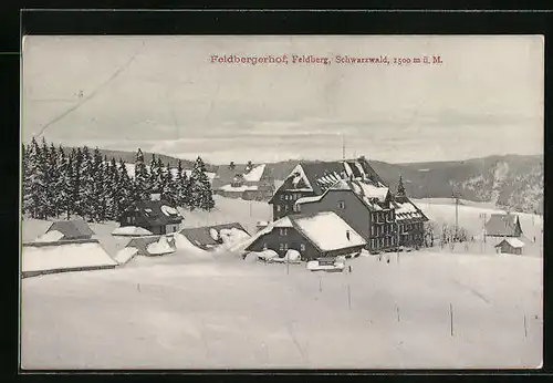 AK Feldberg /Schwarzwald, Hotel Feldbergerhof im Schnee