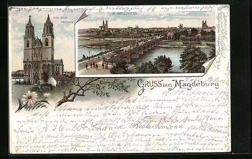 Vorläufer-Lithographie Magdeburg, 1895, Westseite vom Dom, Stadt-Panorama