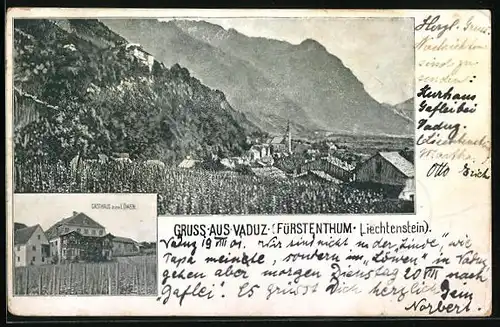 AK Vaduz, Gasthaus zum Löwen, Weinberg mit Landschaftspanorama