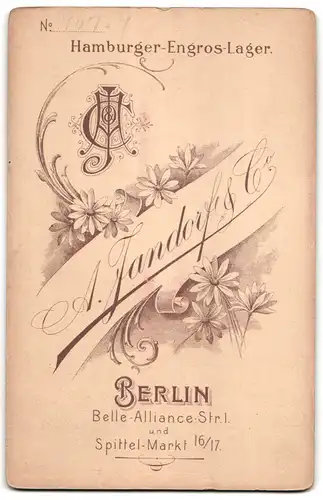 Fotografie A. Jandorf & Co., Berlin, Belle-Alliance-Str. 1, Eleganter Herr mit Moustache