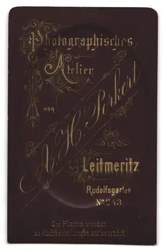 Fotografie A. H. Porkert, Leitmeritz, Rudolfsgarten 243, Junge Dame mit Hochsteckfrisur